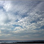 Altocumulus stratiformis 2