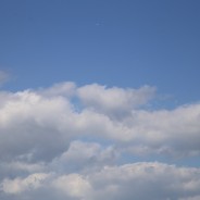Breaking News – induced Cumulus only form over land
