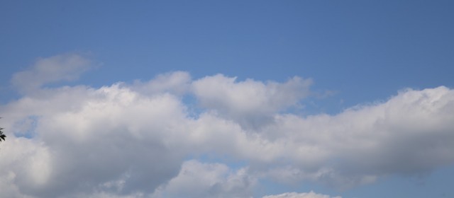 Breaking News – induced Cumulus only form over land